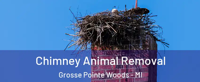 Chimney Animal Removal Grosse Pointe Woods - MI